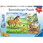 Ravensburger - Puzzle 3x49 Animal petting - 40 - 99 piese
