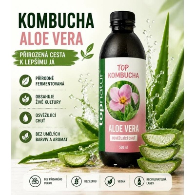 Topnatur top bio Kombucha Aloe vera 0,5 l