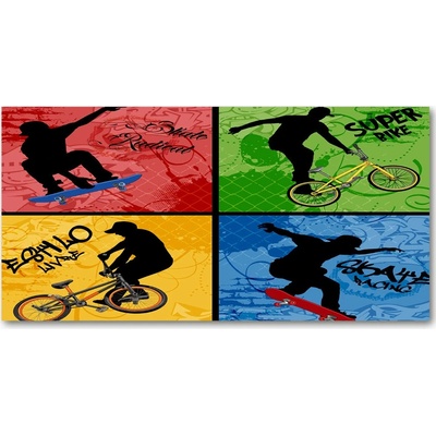 Fotoobraz na skle Kolo a skateboard 100x50 cm