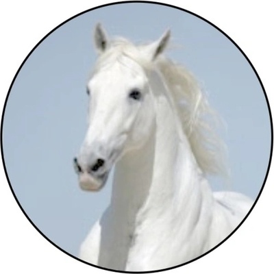 VIZINGR Hlava koně MINI logo L1č.181