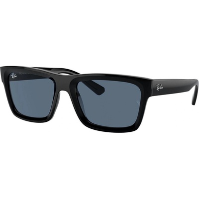 Ray-Ban Warren RB4396 667780