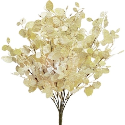 Lunárie větev pvc 51cm krém