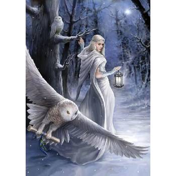 Image 1 of Art Puzzle - Puzzle Anne Stokes - Midnight Messenger - 1 000 piese