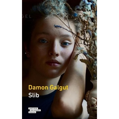 Slib