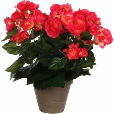 Umelá rastlina Begónia, 30 cm, farba kvetu: ružová 977506