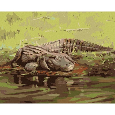zuty Malování Podle Čísel Aligátor Ležící U Vody Ii D. Rusty Rust 40 x 50 Cm Plátno Rám