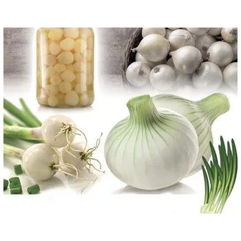 Image 1 of Seklos Лук Албиенка Allium cepa L Albienka