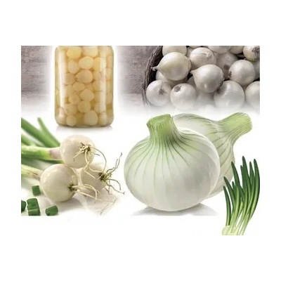 Seklos Лук Албиенка Allium cepa L Albienka