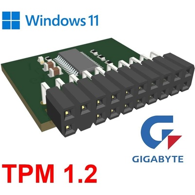 IAX (D-101) GIGABYTE D-modul special TPM 1.2 var:LPC pin:20pin pro Win11