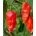 Семена от люти чушки сорт Призрачен ("Ghost" / Bhut Jolokia) 10 бр (610975)