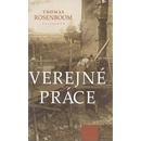 Verejné práce