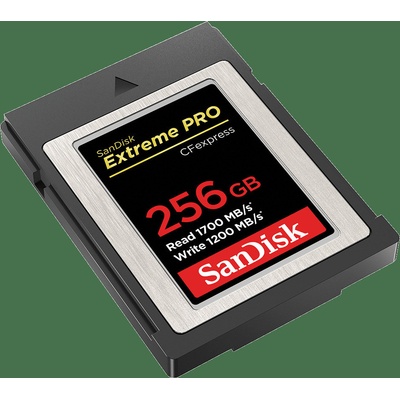 SanDisk SDC 256G SDCFE-256G-GN4NN