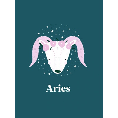 Plagát, Obraz - Aries Floral Constellation, Aislinn Simmonds, 30 × 40 cm