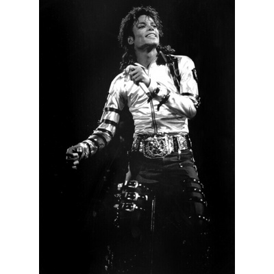 Plakát, Obraz - Views of Michael Jackson concert during, 30 × 40 cm – Zboží Mobilmania