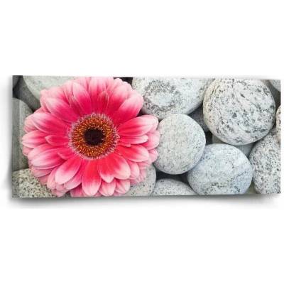 Sablio Obraz Gerbera na kamenech - 110x50 cm