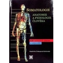 Somatologie