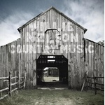 Willie Nelson - Country Music (2 LP) (0888072738362)