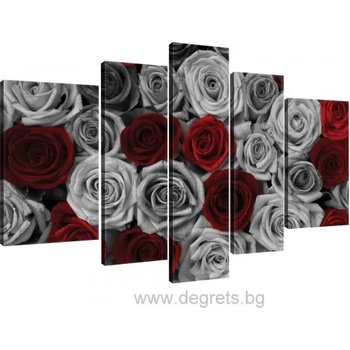 Image 1 of Картина Канава Рози червено - сиви Сет 5 части