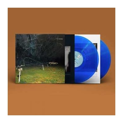 Yo La Tengo - This Stupid World 2 LP