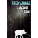 V mrazivých časech - Fred Vargas