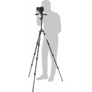 Manfrotto Befree 3