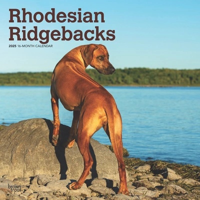 Rhodesian Ridgebacks 2025 12 X 24 Inch Monthly Square Wall Calendar Plastic-Free" - "" ("Browntrout")(Wall) (9781975477622)