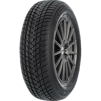 GT Radial Winterpro 2 Sport 205/40 R17 84V