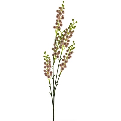 Citlivka - Mimosa (spray) růžová 69 cm
