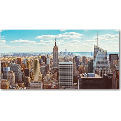 Fotoobraz na skle New York vtáčie pohľad 100x50 cm