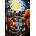 Alipson Puzzle - Puzzle Serene Village - 1 000 piese