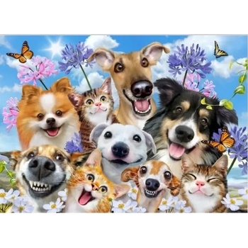 Image 1 of Educa - Puzzle Fun in the Sun - 500 piese