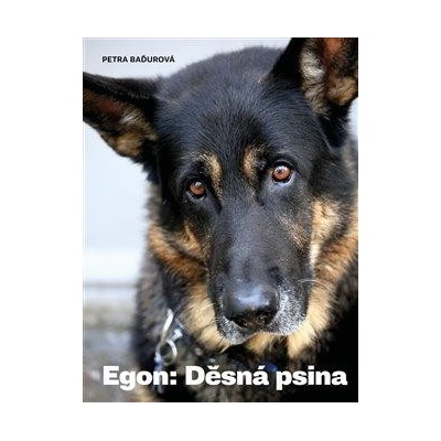 Egon Děsná psina