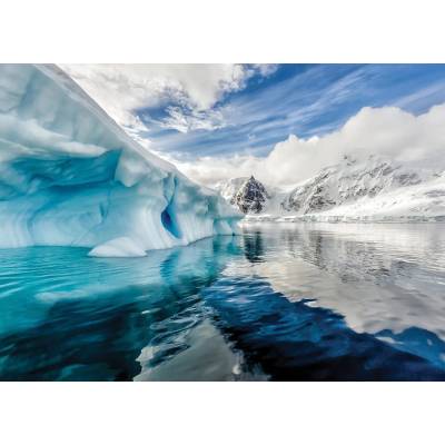 Interdruk - Puzzle Antarktida 1000 - 1 000 piese