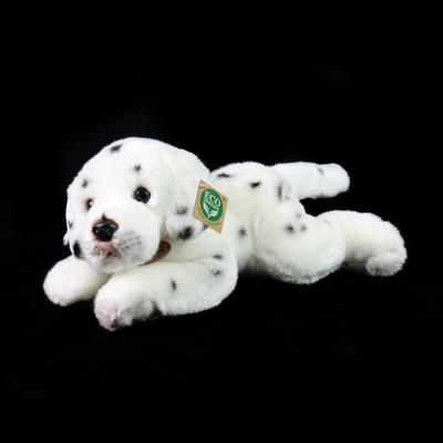 Eco-Friendly Rappa dalmatin 30 cm
