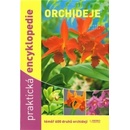 Orchideje praktická encyklopedie - Zdeněk Ježek