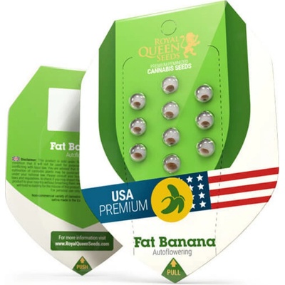 Royal Queen Seeds Fat Banana AUTO semienka neobsahujú THC 10 ks