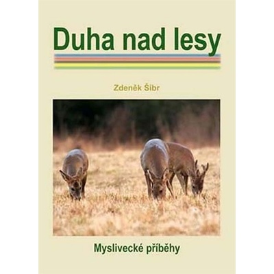 Duha nad lesy