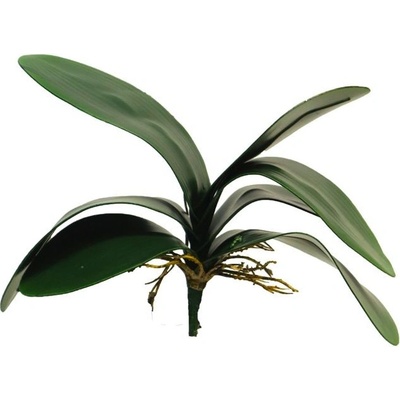 umělé listy, Listy Orchidej (phalaenopsis) x7 / V29cm