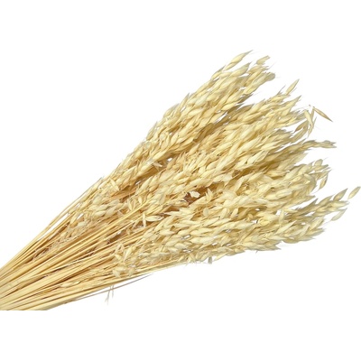 Sušený aranžérsky ovos - klasy 150g - bielený