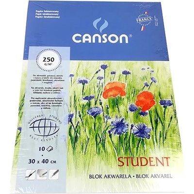 Canson Акварелен картон CANSON 300x400mm 250 gr 10 листа/блок CAP6666-865 (CAP6666-865)