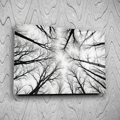 Art gift Стъклено АРТ пано - Възходът на Природата