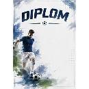 diplom 64