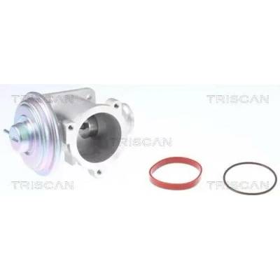 TRISCAN AGR ventil TRI 8813 11003