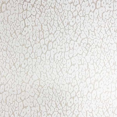 Čipka 16560, biela š.140