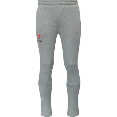 Puma TEAMEVOSTRIPE PANTS BK KVIS PARDUBICE Šedá Červená