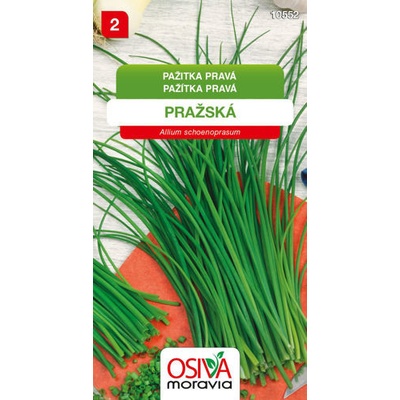 Pažitka pravá Pražská 1,5 g
