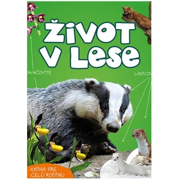 Život v lese