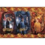 Clementoni - Puzzle Harry Potter, Hermione and Ron 104 - 100 piese