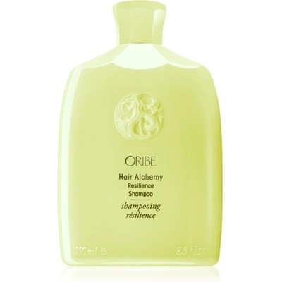 ORIBE Hair Alchemy Resilience Shampoo подсилващ шампоан за чуплива коса 250ml