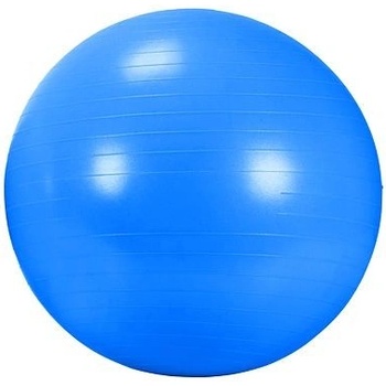DMA FITNESS BLUE 65 Rehabilitační míč AGB434-65-BL